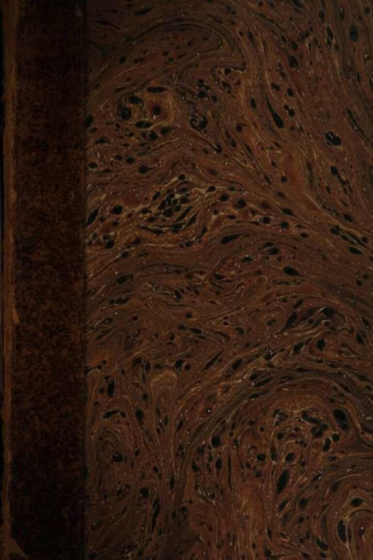 Mort Des Frères Bogdanoff : Le Nom De Didier Raoult Cité