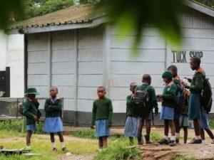 Zimbabwe : Les Enseignants Paralysent Les Écoles