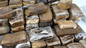 Maroc : Saisie Record De Plus De 31 Tonnes De Cannabis