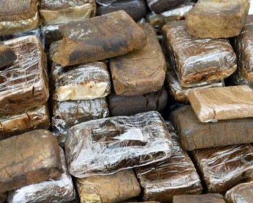 Maroc : Saisie record de plus de 31 tonnes de cannabis