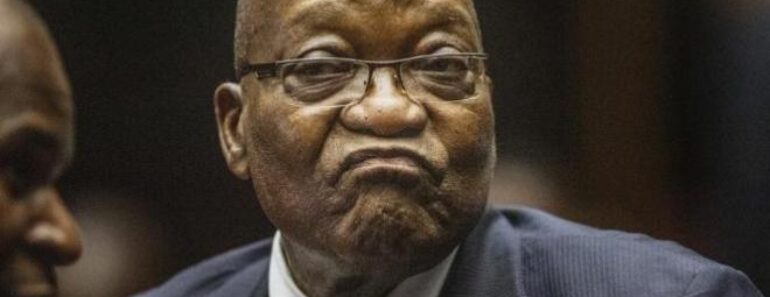 Proces Zuma lex dirigeant sud africain va engager des poursuite 770x297 - Procès Zuma : l'ex-dirigeant sud-africain va engager des poursuites contre le procureur Billy Downer