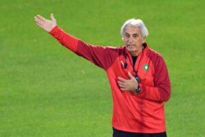 Une Équipe Africaine Pourrait Remporter La Coupe Du Monde Dans 10 À 12 Ans-Vahid Halilhodzic