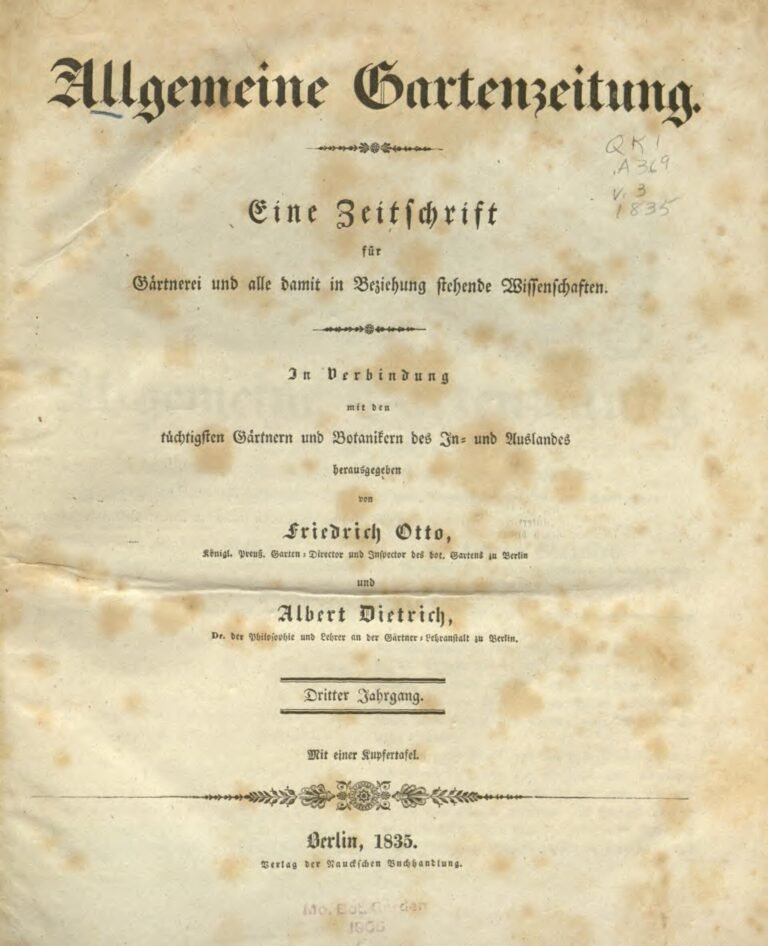 (Vidéo)-Lamb : Reug Reug Contre Sa Thiès Ficelé Par Gaston Production.