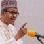 Buhari demande aux ministres ayant des ambitions politiques de démissionner