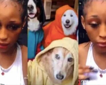 Après Dubaï Porta Potty, TikTok secouée par une vague de femmes qui … avec des chiens (vidéo)