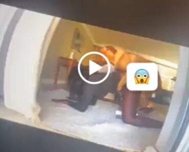 Porta Potty : La vidéo d’un influenceur nigérian élevant un chien dans le centre-ville de Dubaï fuit et Internet tremble !
