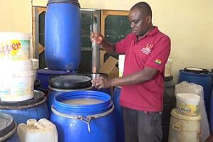 Une entreprise ghanéenne fabrique du vin à partir de cacao