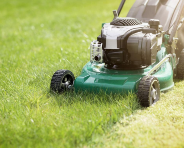 Voici quelques raisons banales de ne pas tondre votre pelouse en Mai