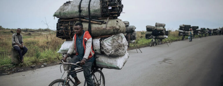 Mozambique : Les Vendeurs De Charbon De Bois À Vélo Paient Le Prix De La Déforestation