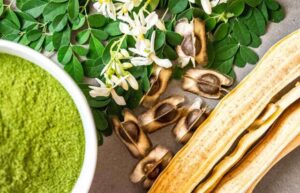 Immunité : Commencez Vos Matinées Avec Du Moringa Pour La Renforcer