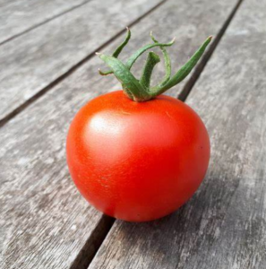 Tomates: Des Astuces Pour Les Faire Murir