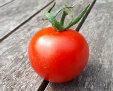 Tomates: Des Astuces Pour Les Faire Murir