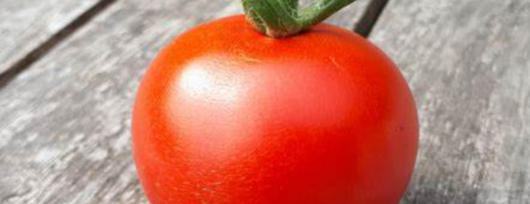 Tomates: Des Astuces Pour Les Faire Murir