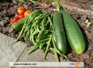 Mangez Ces Légumes Si Vous Essayez De Perdre Du Poids