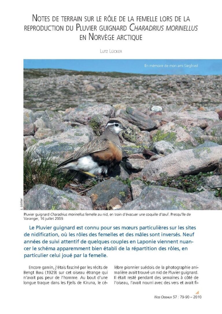 Décès D&Rsquo;Un Haut Responsable Du Parti Au Pouvoir En Afrique Du Sud, L&Rsquo;Anc