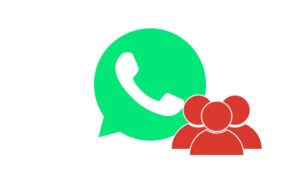 Whatsapp : Comment Copier Tous Les Contacts D’un Groupe ?