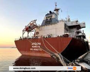 2 autres navires transportant plus de 70 000 tonnes de céréales quittent l’Ukraine