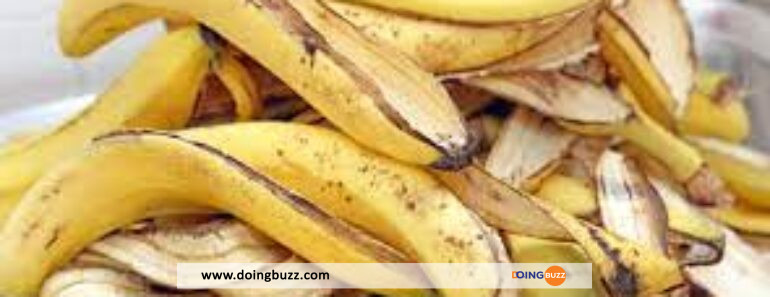 Quelques Utilisations Surprenantes Des Pelures De Banane