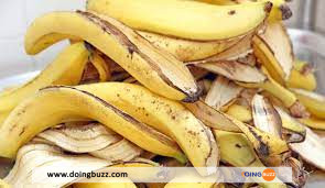 Quelques Utilisationssurprenantes Pelures De Banane