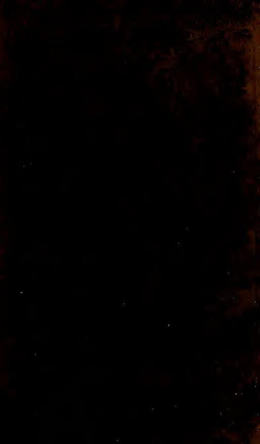 The fourty eight level (#T48L) Eperviers tous vers la victoire