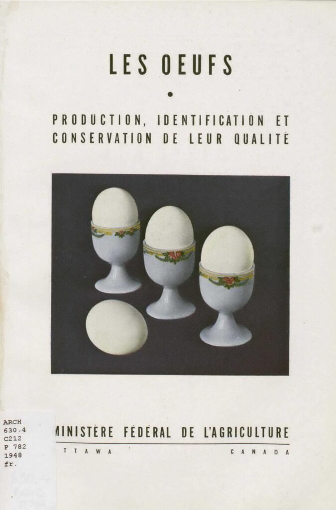 Que signifie réellement une alimentation équilibrée ?