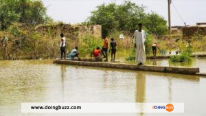 Niger : Le Bilan Des Inondations Évalué À 75 Morts