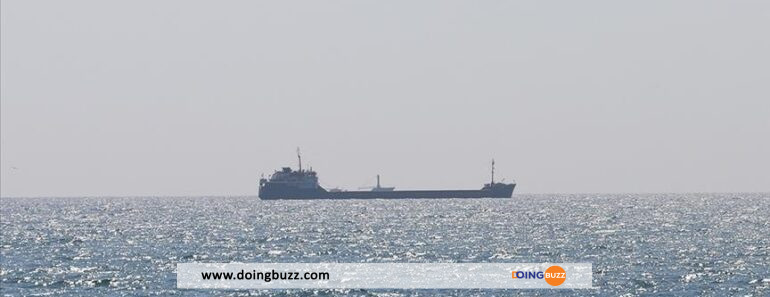 Deux céréaliers quittent le port ukrainien d'Odessa