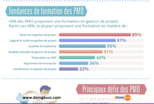 Bases De La Gestion De Projets: Qu’est-Ce Qu’un Pmo?