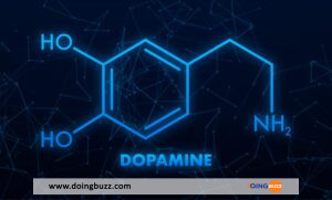 Manger Ces Aliments Augmentera Votre Taux De Dopamine