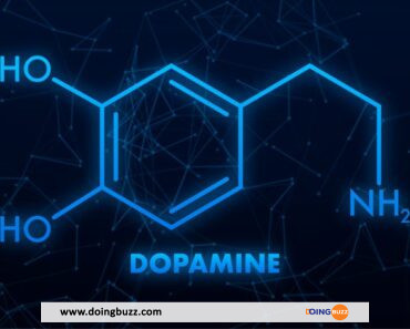 Manger Ces Aliments Augmentera Votre Taux De Dopamine