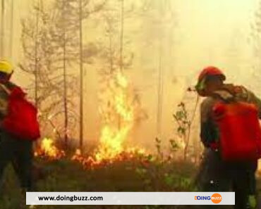Un Incendie De Forêt Fait 1 Mort Et Endommage Plus De 100 Maisons Dans Le Nord Du Kazakhstan