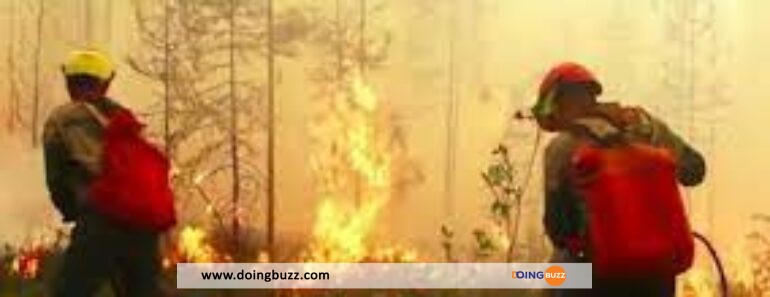 Un incendie de foret 1 mort endommage plus de 100 maisons nord du Kazakhstan 770x297 - Un incendie de forêt fait 1 mort et endommage plus de 100 maisons dans le nord du Kazakhstan