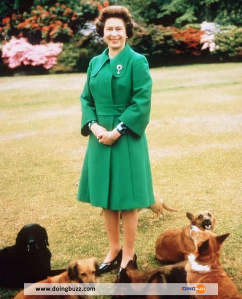 WhatsApp Image 2022 09 09 at 17.35.12 - Reine Elizabeth II : Voici des photos de sa jeunesse exclusivité