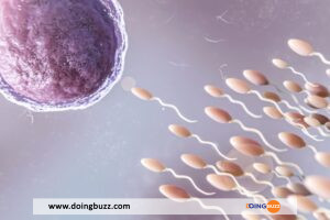 Pourquoi le sperme change-t-il de couleur et qu’est-ce que cela signifie ?