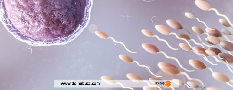 le sperme couleur signifie  770x297 - Pourquoi le sperme change-t-il de couleur et qu'est-ce que cela signifie ?