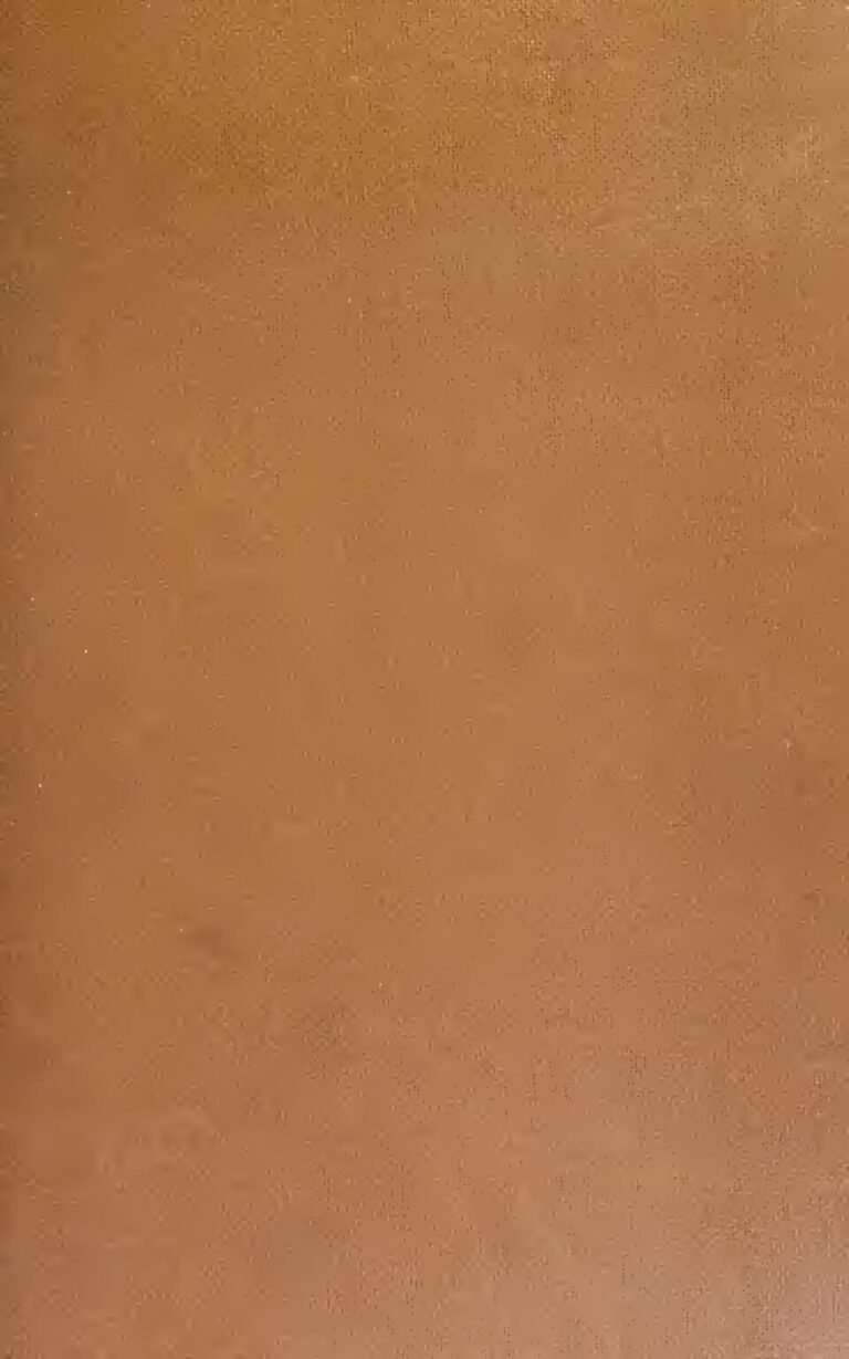 Onu : Environ 730 Enfants Morts Dans Des Centres De Nutrition En Somalie