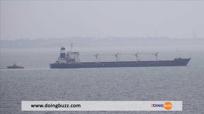 2 autres navires céréaliers quittent l'Ukraine
