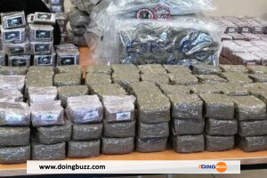 Niger : 150 Kg De Cannabis Saisis En Provenance Du Bénin