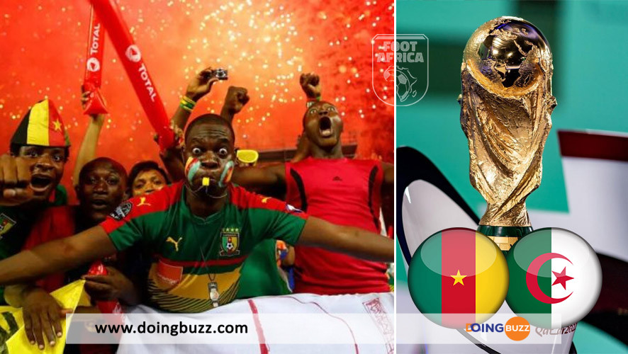 Cameroun Coupe Du Monde 2022 1