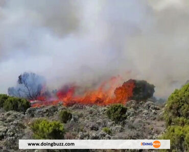 Tanzanie: l’incendie sur le Kilimandjaro est « maîtrisé »