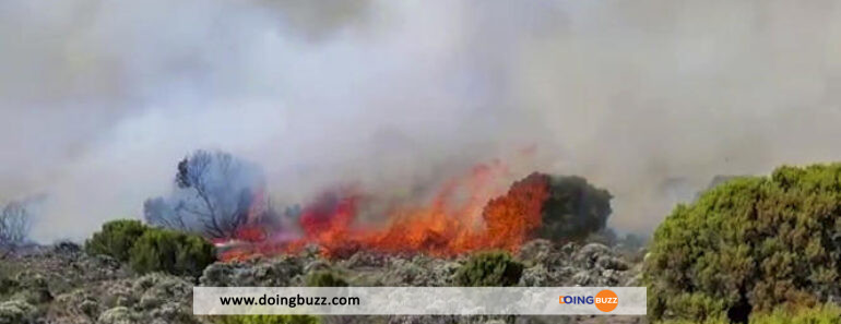 Tanzanie: L&Rsquo;Incendie Sur Le Kilimandjaro Est « Maîtrisé »