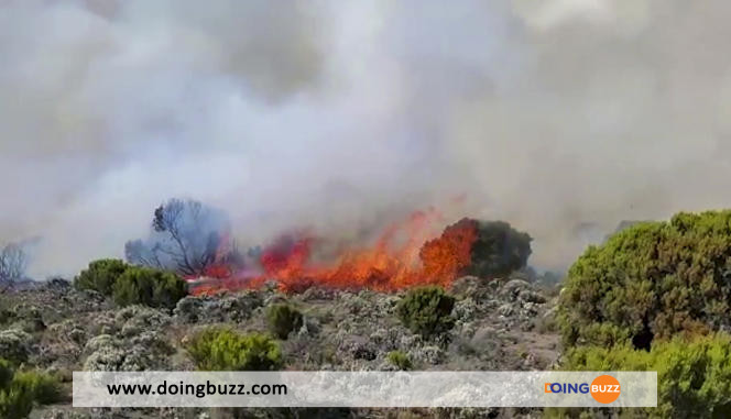 Tanzanie: L'Incendie Sur Le Kilimandjaro Est &Quot;Maîtrisé&Quot;