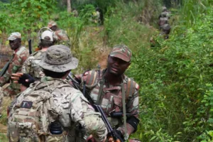 Lutte Antiterroriste : Des Militaires Américains Forment Des Soldats Du Bénin