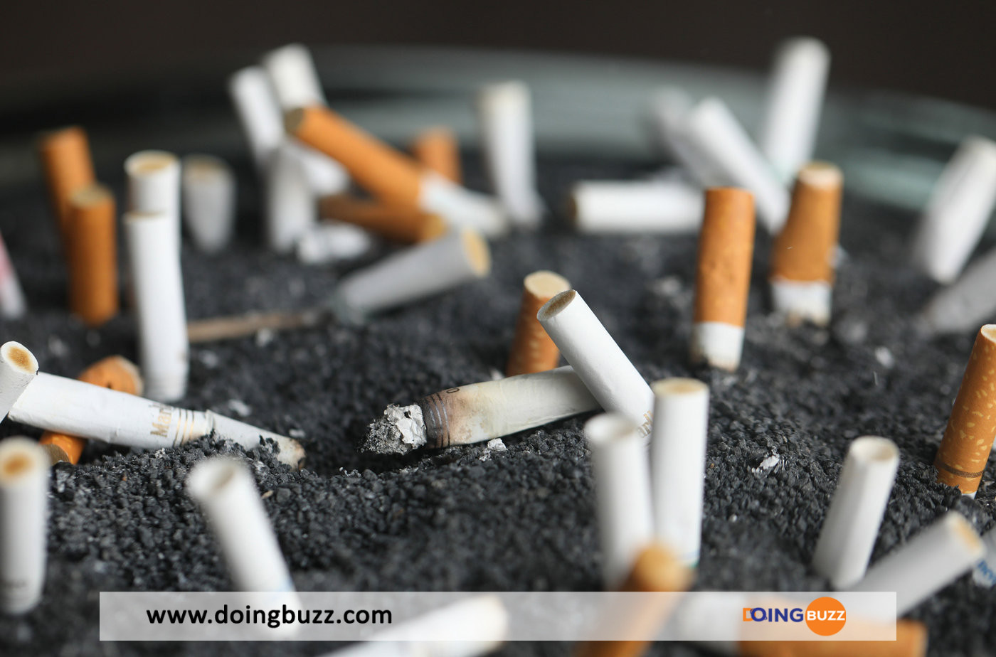 Etude : Voici L'Âge Idéal Pour Arrêter De Fumer