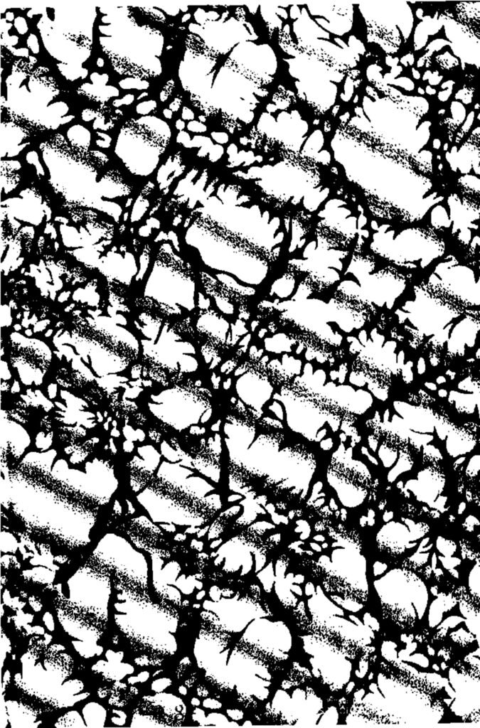 France : grèves suspendues sur deux autres sites de TotalEnergies