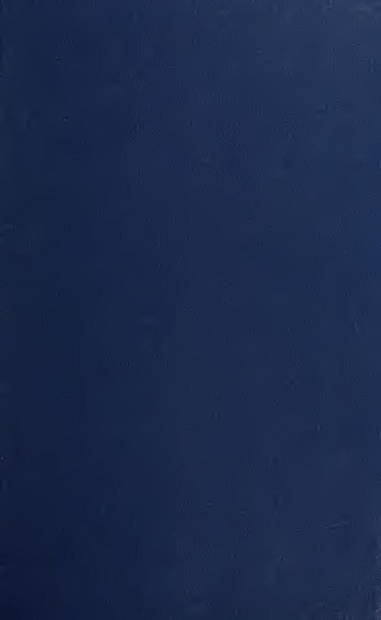 Inde : un pont s&rsquo;effondre et fait au moins 30 morts