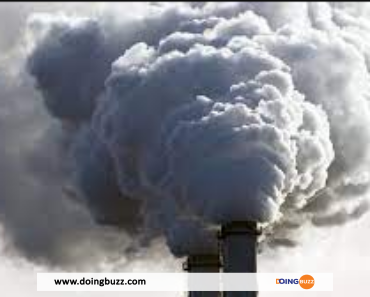 Pollution de l’air : l’État condamné à solder 20 millions d’euros par le Conseil d’État