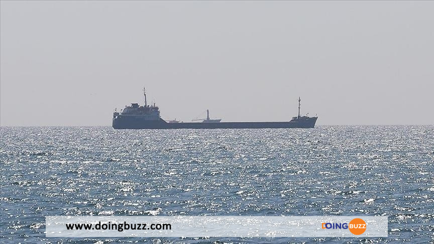 5 Autres Navires Céréaliers Quittent L'Ukraine Dans Le Cadre De L'Accord D'Istanbul