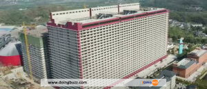 Chine : Un Grand Hôtel Ouvert Pour Les Cochons (Vidéo)