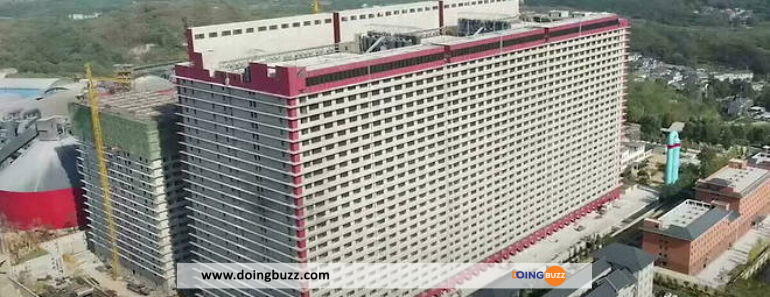 Chine : Un Grand Hôtel Ouvert Pour Les Cochons (Vidéo)
